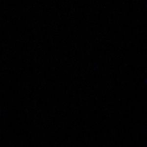 Meet your Posher, Daisy